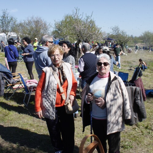Almendro en flor 2026 (37)